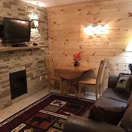 Downtown Gatlinburg Apartment
